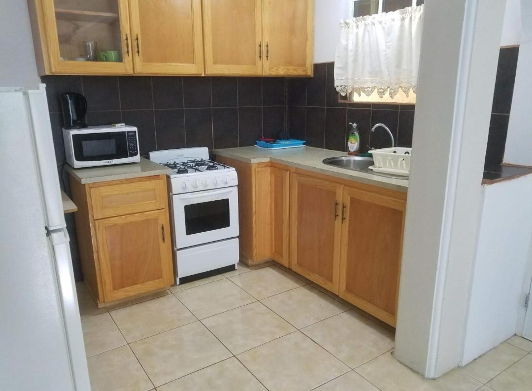 Corosol Apartments Roseau Bagian luar foto
