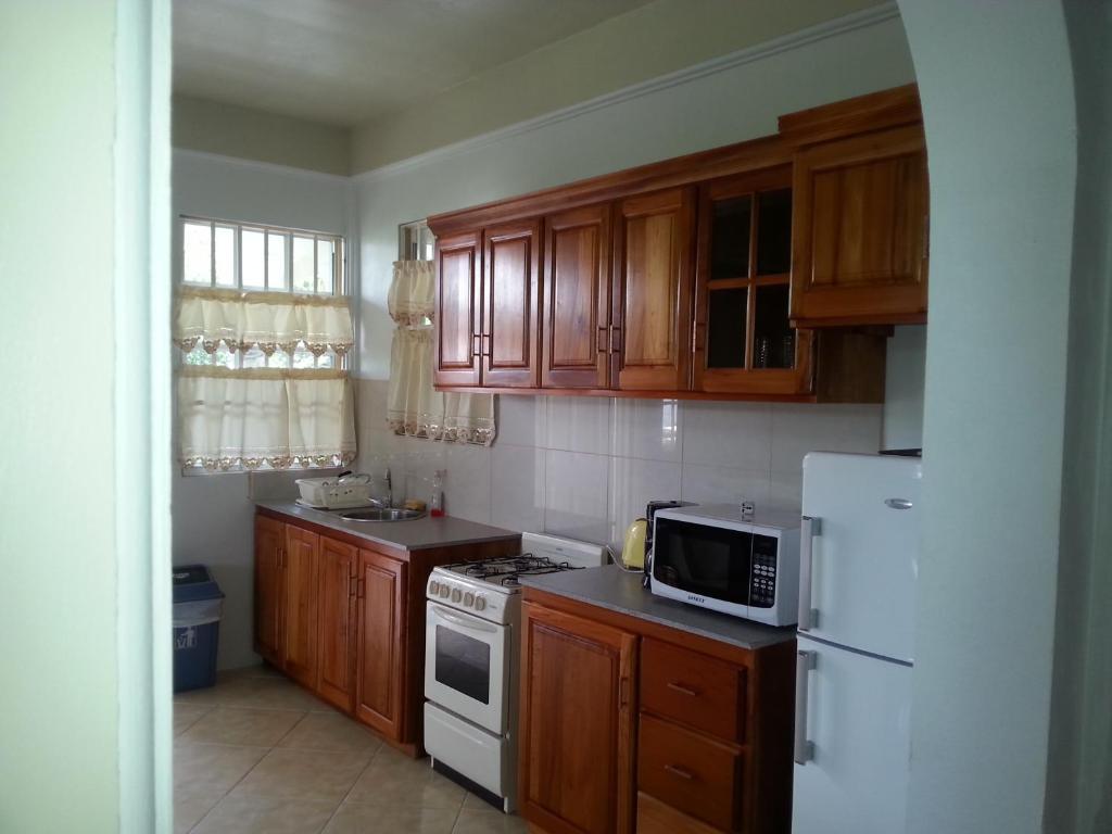 Corosol Apartments Roseau Bagian luar foto
